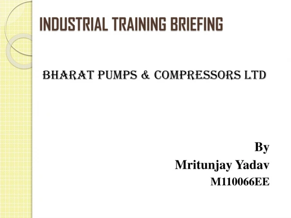 INDUSTRIAL TRAINING BRIEFING