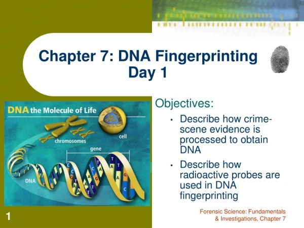 Chapter 7: DNA Fingerprinting Day 1