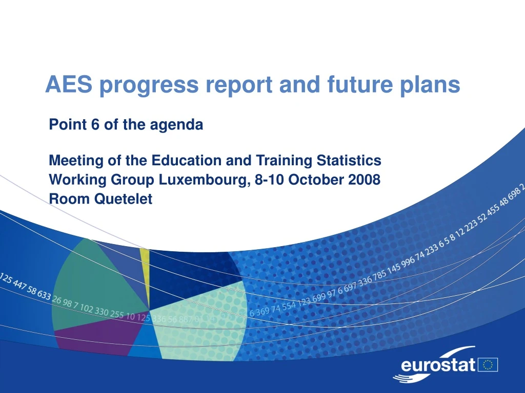 aes progress report and future plans