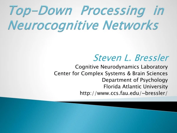 Top-Down Processing in Neurocognitive Networks