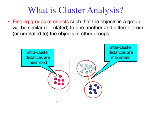 What is Cluster Analysis?