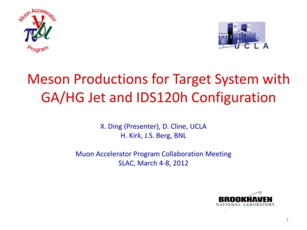 Meson Productions for Target System with GA/HG Jet and IDS120h Configuration