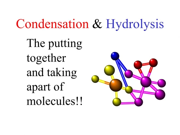 Condensation  &amp;  Hydrolysis