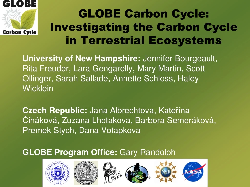 globe carbon cycle investigating the carbon cycle in terrestrial ecosystems
