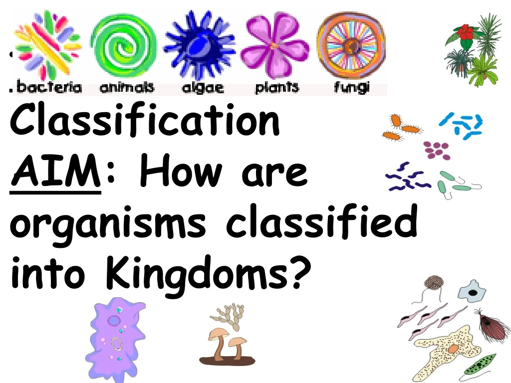 topic classification aim how are organisms classified into kingdoms