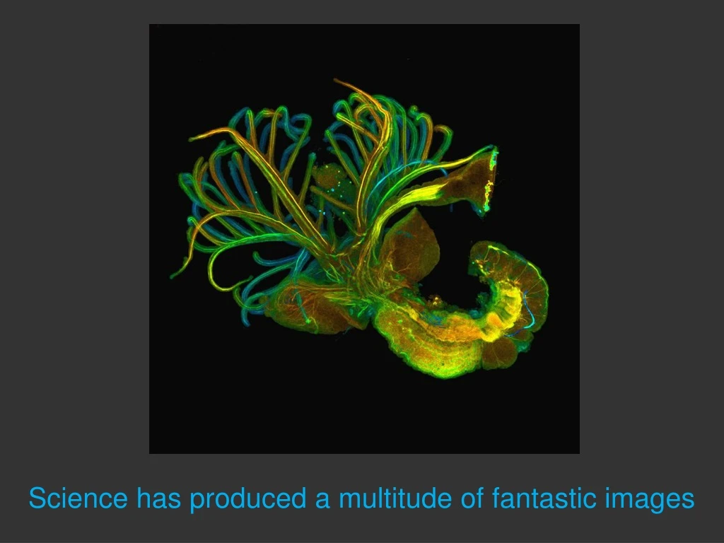 science has produced a multitude of fantastic