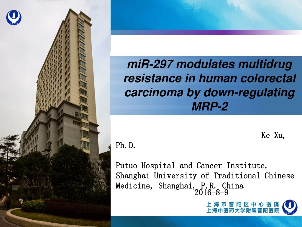 mir 297 modulates multidrug resistance in human