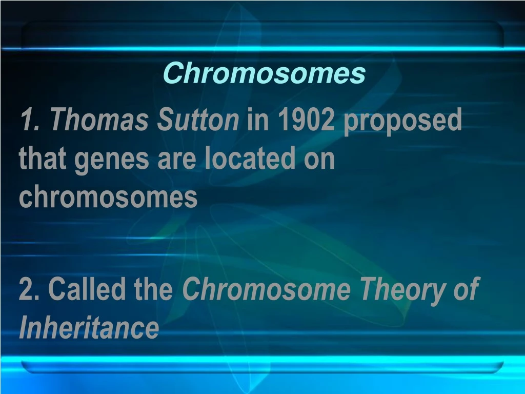 chromosomes