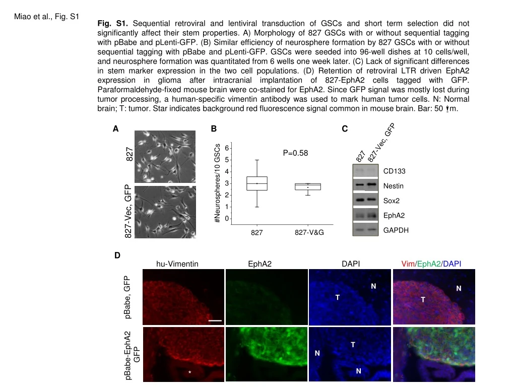 miao et al fig s1