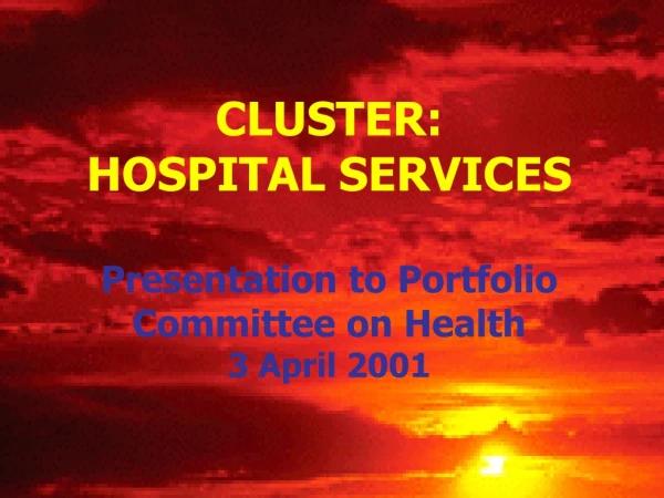 CLUSTER:  HOSPITAL SERVICES Presentation to Portfolio Committee on Health 3 April 2001