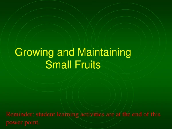 Growing and Maintaining Small Fruits