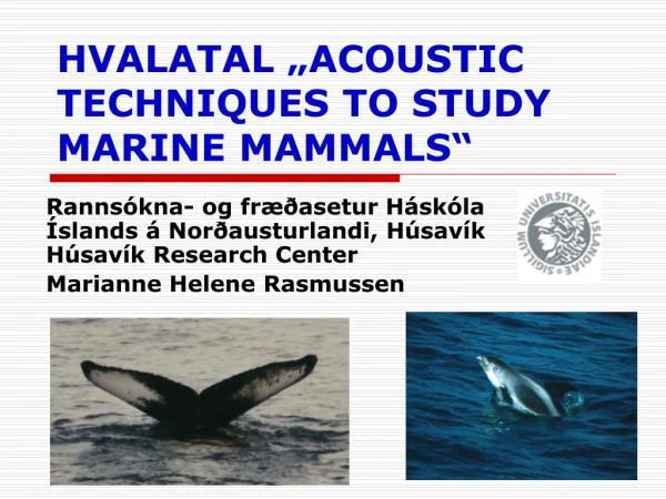 HVALATAL „ACOUSTIC TECHNIQUES TO STUDY MARINE MAMMALS“