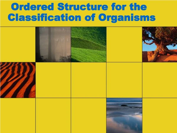 Ordered Structure for the Classification of Organisms