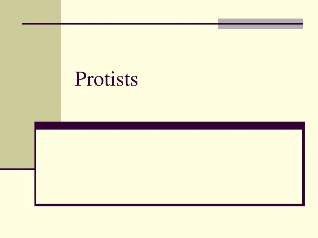 protists