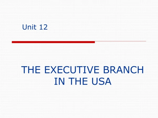 THE EXECUTIVE BRANCH IN THE USA