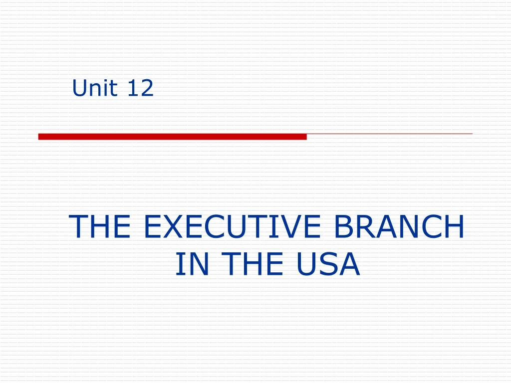 the executive branch in the usa