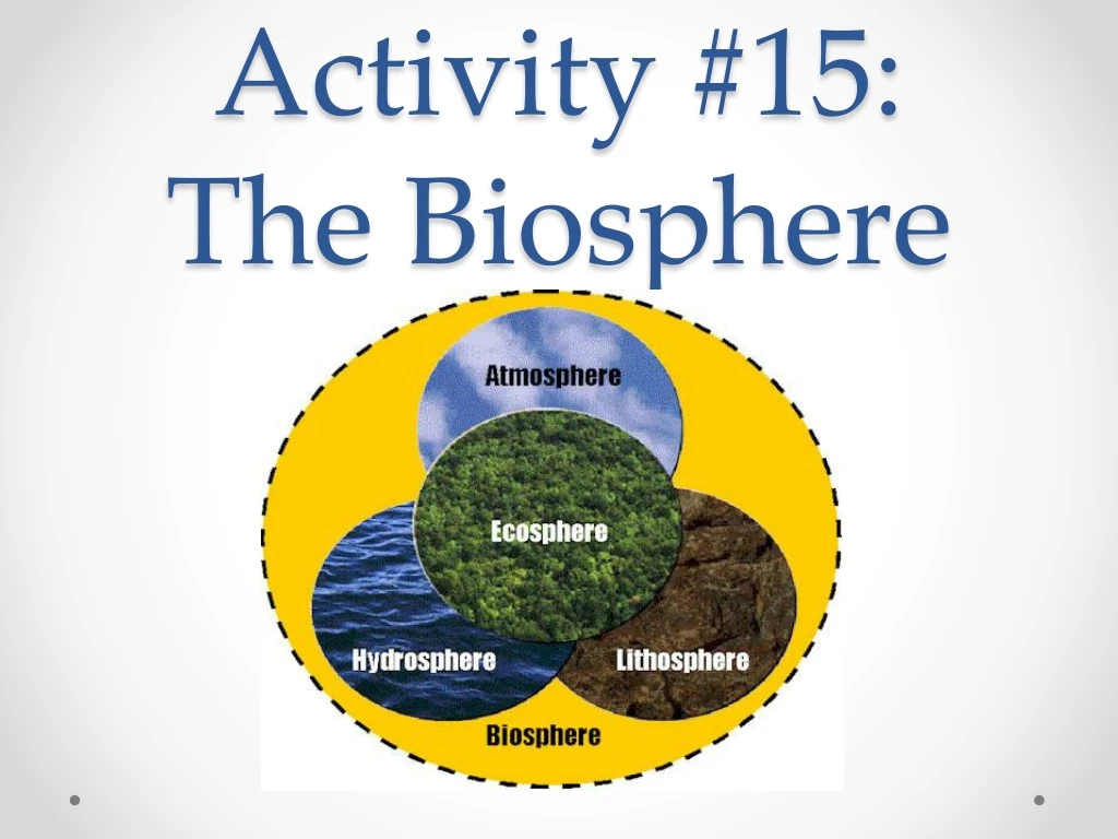 activity 15 the biosphere