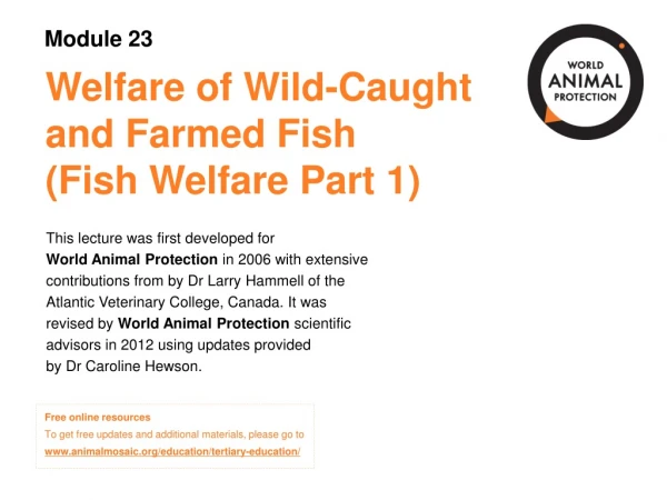 Welfare of Wild-Caught  and Farmed Fish  (Fish Welfare Part 1)