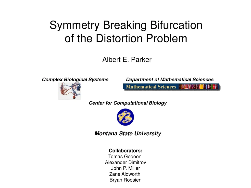 symmetry breaking bifurcation of the distortion