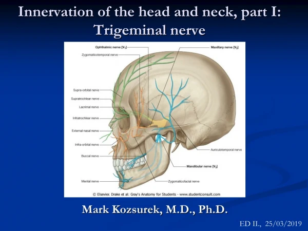 Innervation  of  the head  and  neck , part I:  Trigeminal nerve
