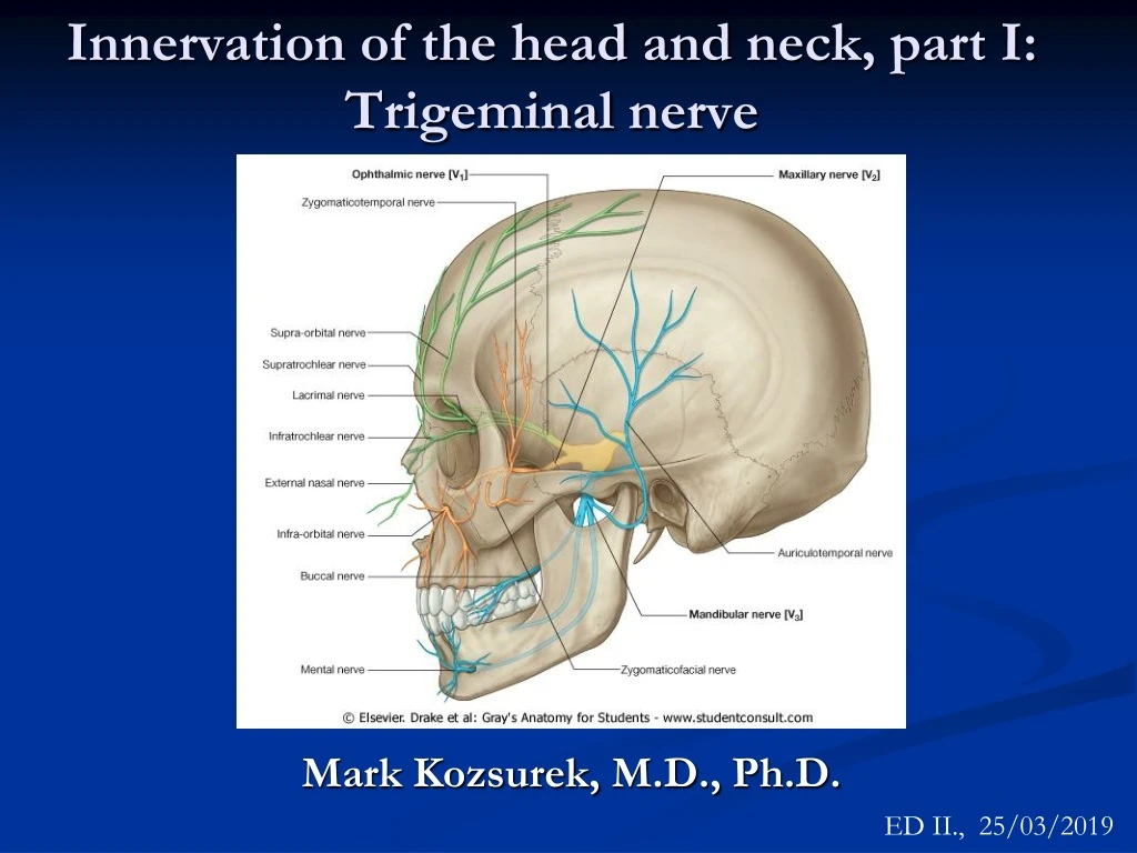 innervation of the head and neck part i trigeminal nerve