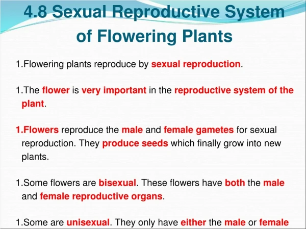 4.8 Sexual Reproductive System of Flowering Plants