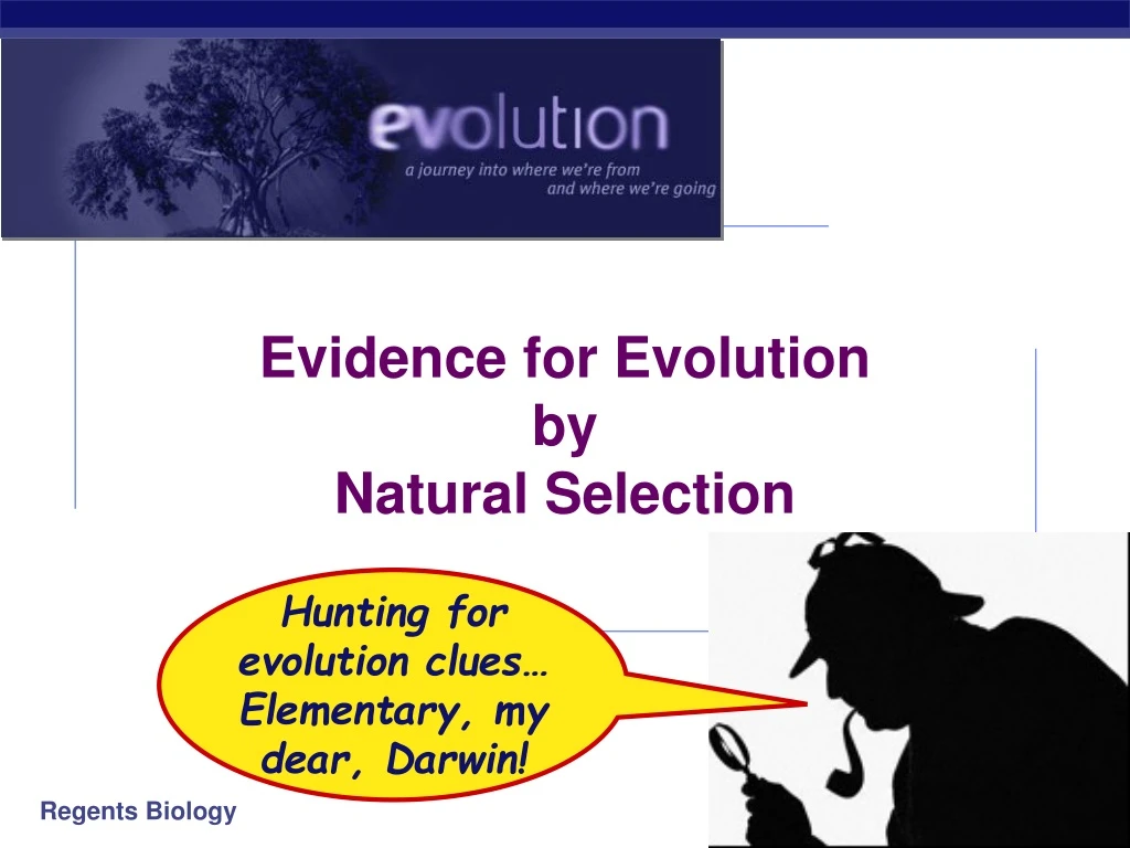 evidence for evolution by natural selection