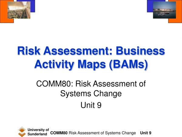 Risk Assessment: Business Activity Maps (BAMs)