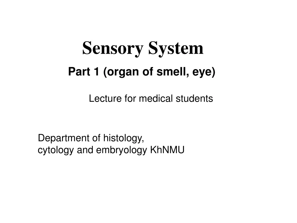 sensory system
