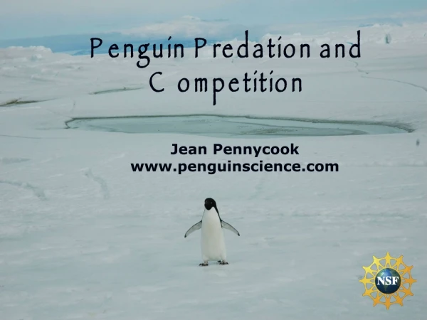 Jean Pennycook penguinscience