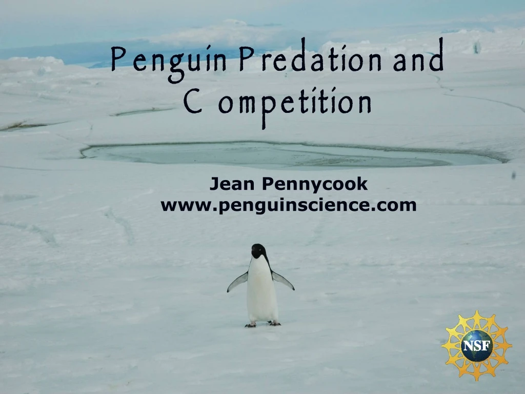 penguin predation and competition