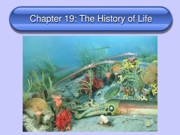 Chapter 19: The History of Life
