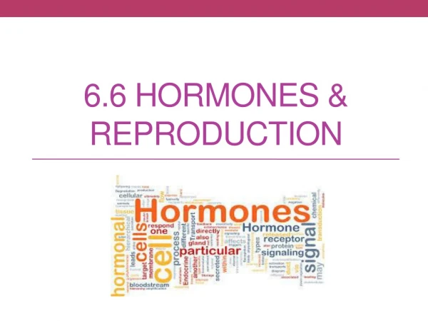 6.6 Hormones &amp; Reproduction