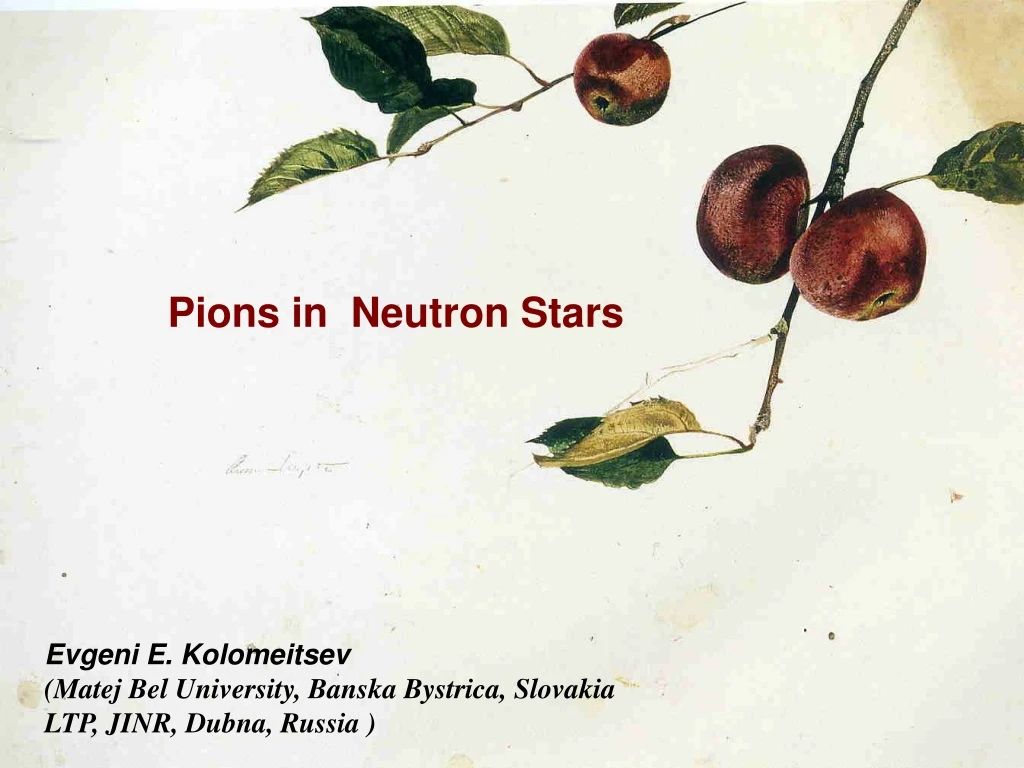 pions in neutron stars