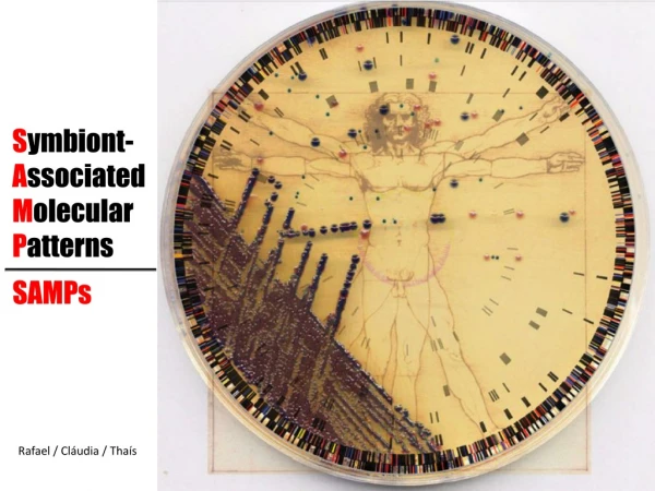 S ymbiont- A ssociated  M olecular  P atterns