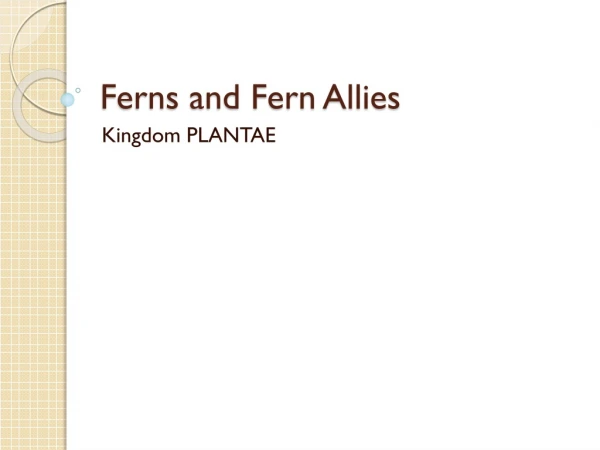 Ferns and Fern Allies
