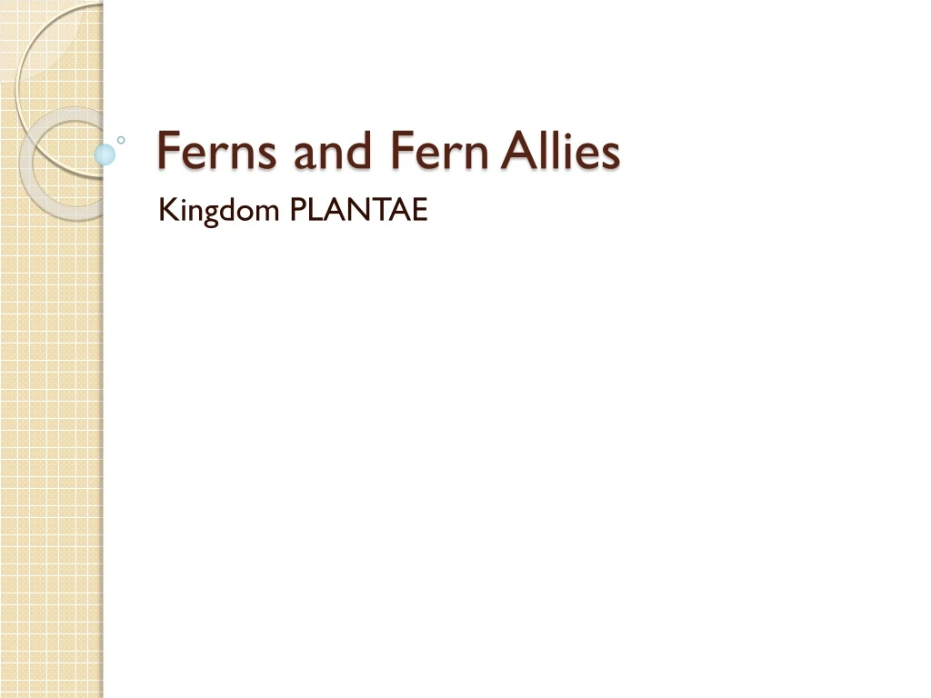 ferns and fern allies