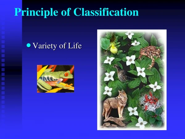 Principle of Classification