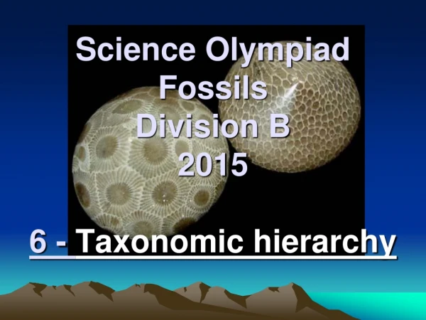 Science Olympiad Fossils Division B 2015 6 -  Taxonomic hierarchy