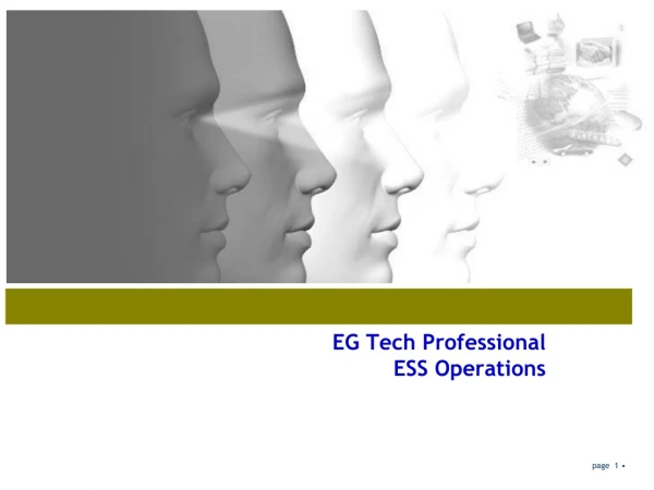 EG Tech Professional ESS Operations