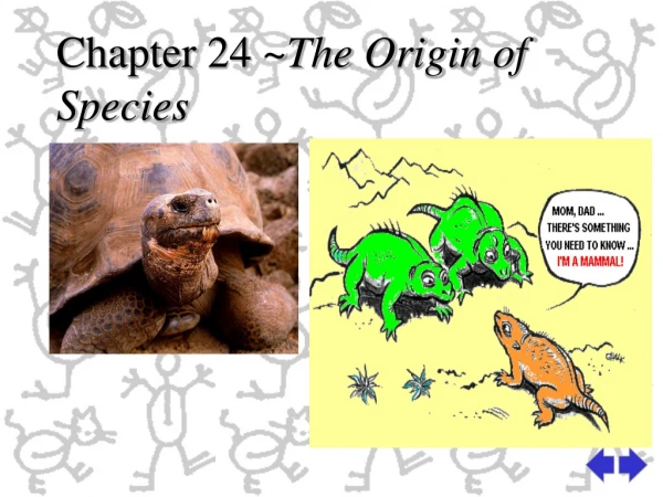 Chapter 24 ~ The Origin of Species