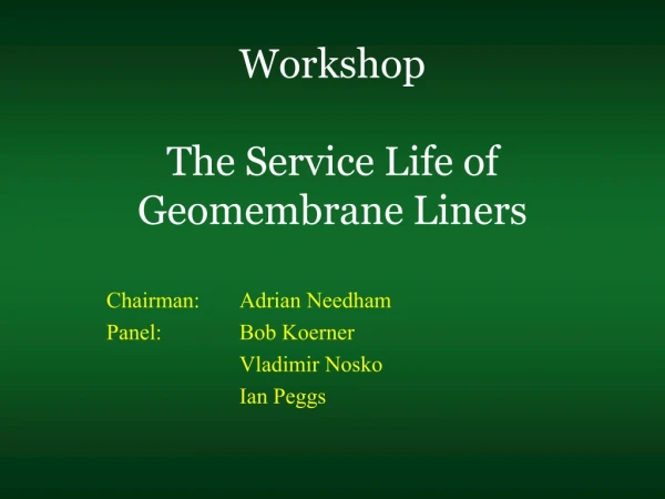 Workshop The Service Life of Geomembrane Liners
