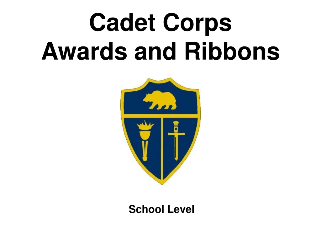 cadet corps awards and ribbons