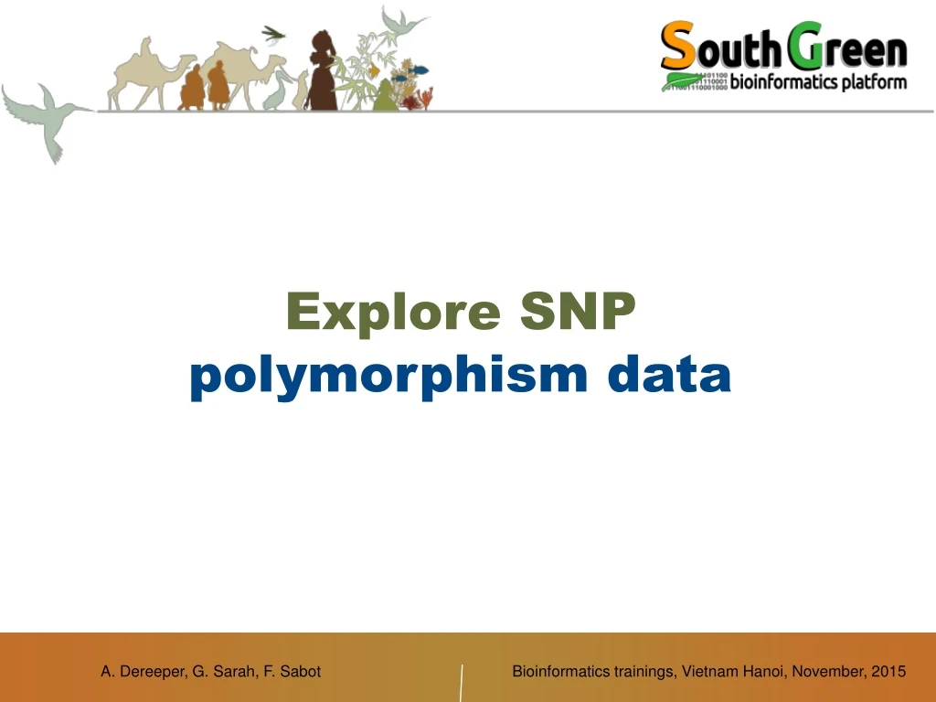 explore snp polymorphism data