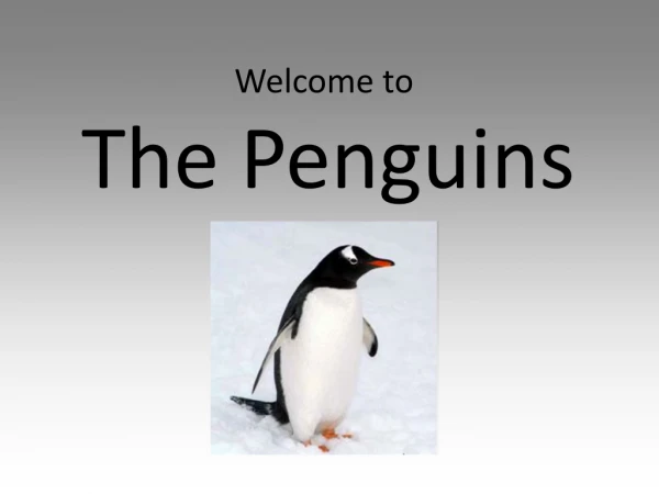 Welcome to The Penguins