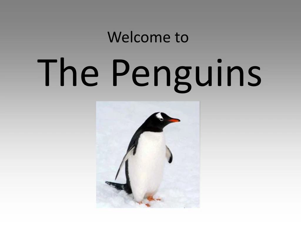 welcome to the penguins