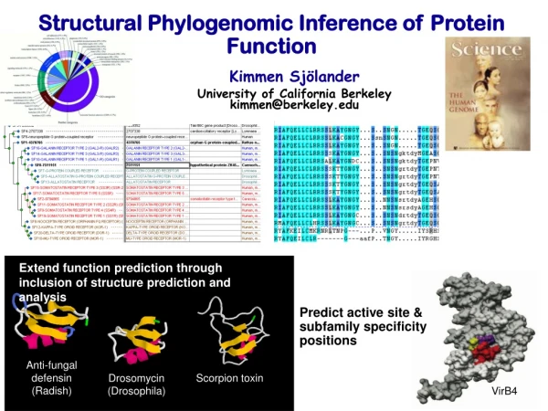 Predict active site &amp;  subfamily specificity positions