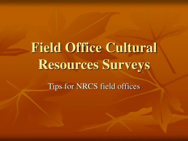 Field Office Cultural Resources Surveys