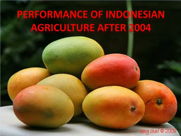 PERFORMANCE OF INDONESIAN AGRICULTURE AFTER 2004