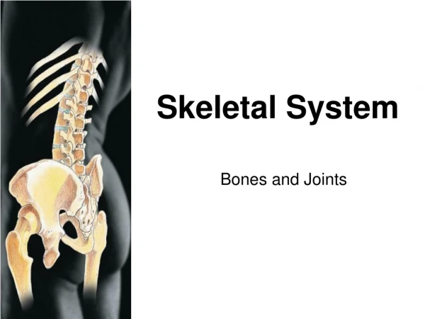 Skeletal System